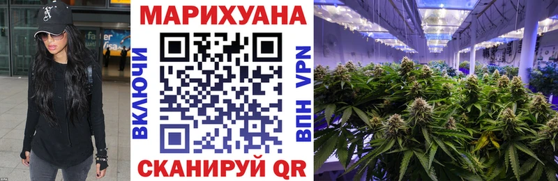 Бошки Шишки OG Kush  MEGA ТОР  Верея 